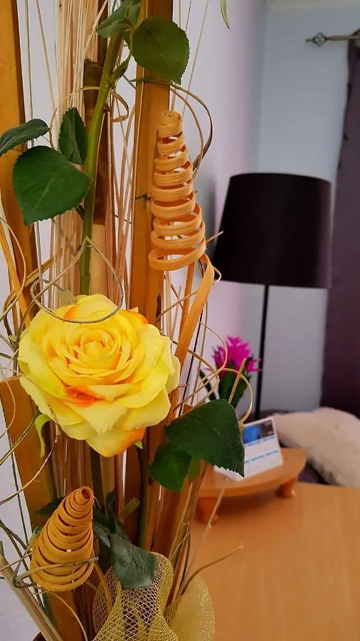 Warm, Cozy And Comfortable Costa Adeje  Appartement